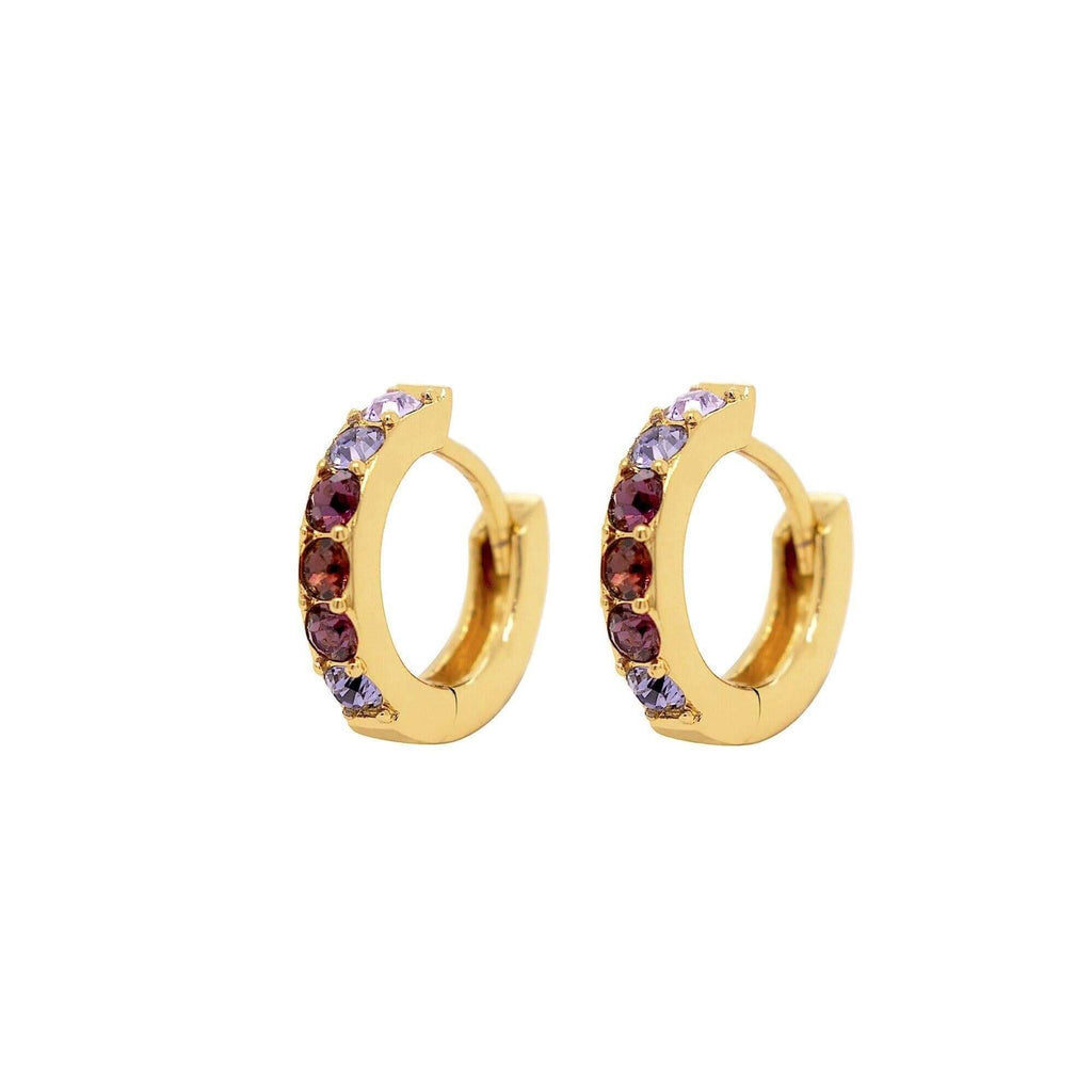 Amethyst Ombre Hoop Earrings - Trendolla Jewelry